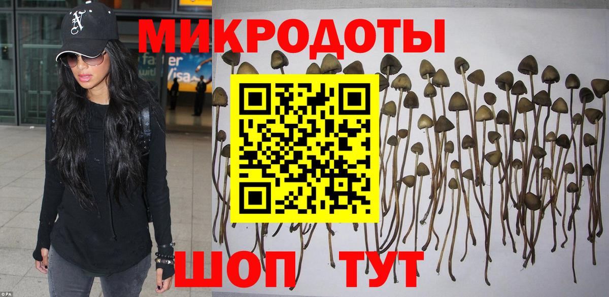 Ахтубинск  Псилоцибиновые грибы мицелий  Псилоцибиновые грибы Psilocybe  купить наркотики цена  Вход с VPN 