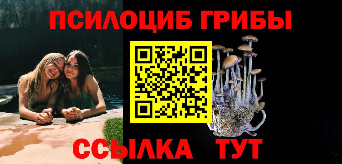 Галлюциногенные грибы прущие грибы Ахтубинск